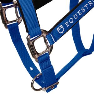 product/e/q/equestro_ca00032-royalblue_royalblue_7.jpg