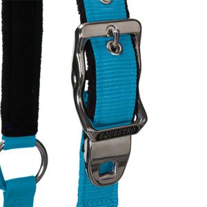 product/e/q/equestro_ca00032-turquoise_turquoise_3.jpg