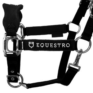 product/e/q/equestro_et05400-black_et05400-black_2.jpg