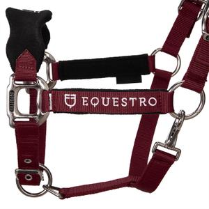 product/e/q/equestro_et05400-burgundy_et05400-burgundy_2.jpg