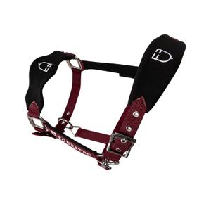 product/e/q/equestro_et05400-burgundy_et05400-burgundy_4.jpg