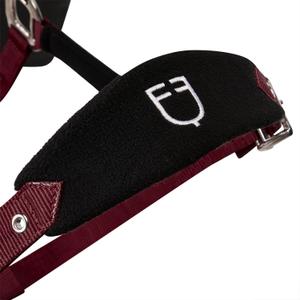 product/e/q/equestro_et05400-burgundy_et05400-burgundy_5.jpg