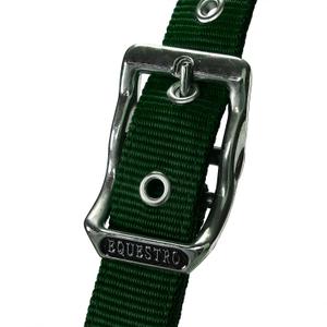 product/e/q/equestro_et05400-green_et05400-green_3.jpg