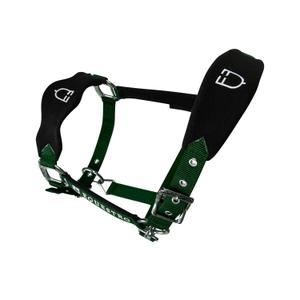 product/e/q/equestro_et05400-green_et05400-green_4.jpg