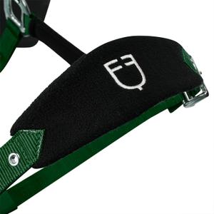 product/e/q/equestro_et05400-green_et05400-green_5.jpg