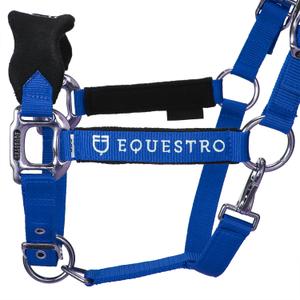 product/e/q/equestro_et05400-royalblue_et05400-royalblue_2.jpg