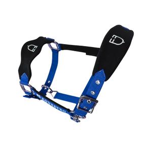 product/e/q/equestro_et05400-royalblue_et05400-royalblue_4.jpg