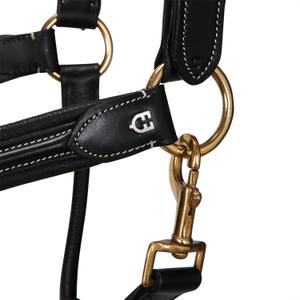 product/e/q/equestro_et05450-black_et05450-black_3.jpg