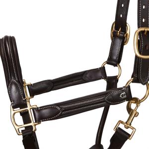 product/e/q/equestro_et05450-darkbrown_et05450-darkbrown_2.jpg