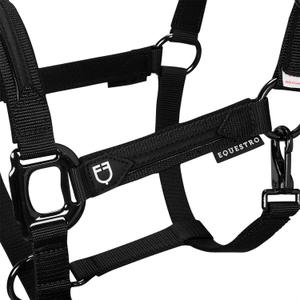 product/e/q/equestro_et08600-black_et08600-black_2.jpg