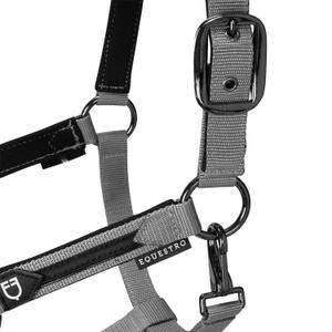 product/e/q/equestro_et08600-grey_et08600-grey_4.jpg