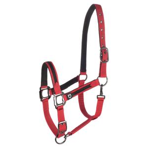 et08600-red-ensemble-licol-en-nylon-et-longe-pour-cheval-en-nylon-equestro-et08600-red