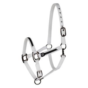 product/e/q/equestro_et08600-white_et08600-white_1.jpg