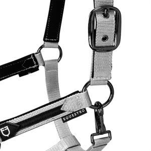 product/e/q/equestro_et08600-white_et08600-white_4.jpg