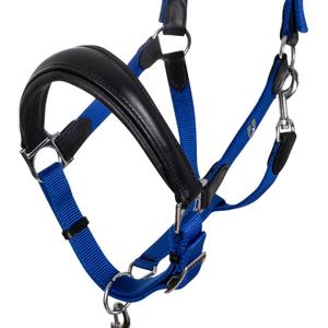 product/e/q/equestro_eth03002-black_royal_black-royal_2.jpg