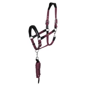 eth03002n-black-burgundy-ensemble-licol-et-longe-pour-cheval-equestro-ergonomic-lani-new-black-burgundy