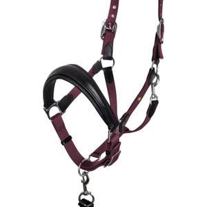 product/e/q/equestro_eth03002n-black_burgundy_black-burgundy_2.jpg