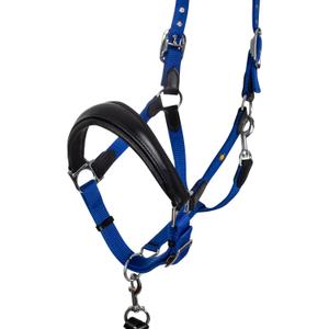 product/e/q/equestro_eth03002n-black_royal_black-royal_2.jpg