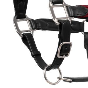 product/e/q/equestro_eth03003-darkbrown_burgundy_darkbrown-burgundy_4.jpg