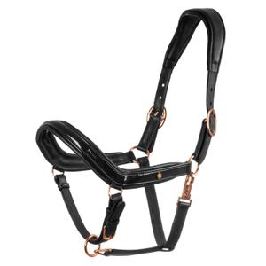 eth03005-black-licol-anatomique-en-cuir-avec-bouclerie-equestro-black