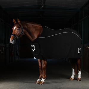 product/e/q/equestro_eth04004-black_black_5.jpg