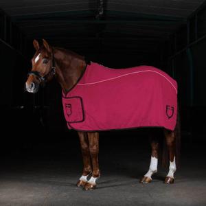 product/e/q/equestro_eth04004-burgundy_burgundy_5.jpg