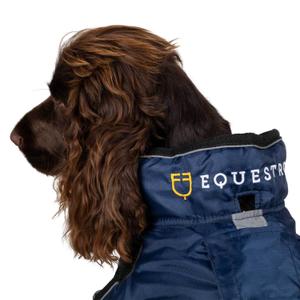 product/e/q/equestro_etp00100-navy_navy_8.jpg