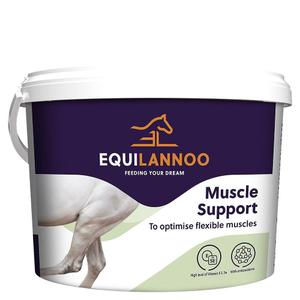 722021-m000-000-soutien-musculaire-pour-cheval-equilannoo-eql-blanc-tu