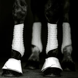 product/e/q/equilibrium_155501-blanc_5.jpg