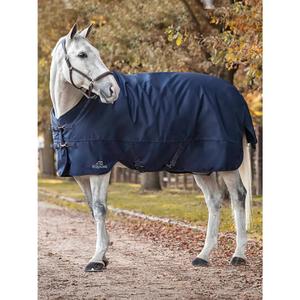 ec018pa11174-4-couverture-d-exterieur-pour-cheval-equiline-calantha-400-gr-bleu