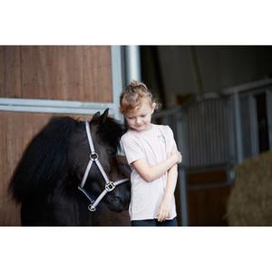 product/e/q/equipage_102911147_ballerina_8.jpg