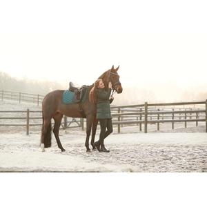 product/e/q/equipage_103474101_black_7.jpg