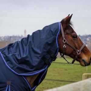 product/e/q/equitheme_400538003_marine_1.jpg