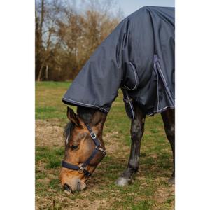 product/e/q/equitheme_400580759_marine_3.jpg
