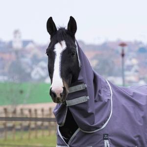 product/e/q/equitheme_400764001_taupe_1.jpg