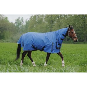 product/e/q/equitheme_400943459_bleu-roi_2.jpg