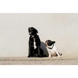 product/e/q/equitheme_409050250_noir_2.jpg