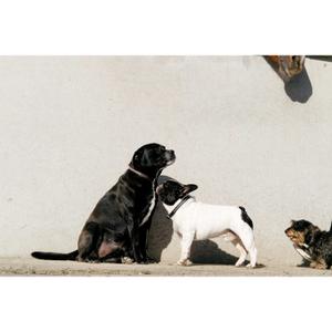 product/e/q/equitheme_409050250_noir_3.jpg