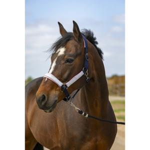 510251277-licol-pour-cheval-en-nylon-check-equitheme-marine