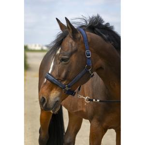510250107-licol-pour-cheval-en-nylon-strass-equitheme-marine