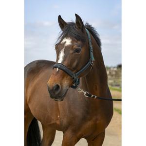 510250109-licol-pour-cheval-en-nylon-strass-equitheme-vert