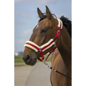 product/e/q/equitheme_510_253_303_ambi.jpg