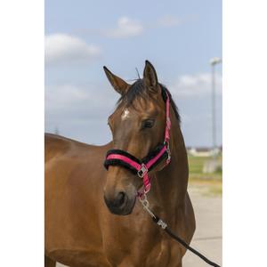 510253013-licol-pour-cheval-en-nylon-mouton-equitheme-rose-noir