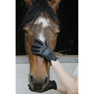product/e/q/equitheme_930016021_noir_7.jpg