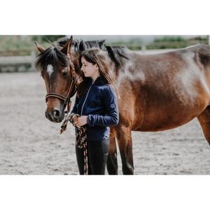 product/e/q/equitheme_964_677_712_ambi2.jpg