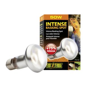 33-pt2135-lampe-pour-terrarium-exo-terra-intense-basking-spot-50w-argente-6-5x6-5x10-cm