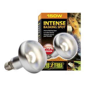 product/e/x/exo-terra_33-pt2140.jpg