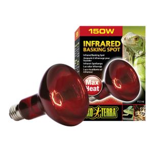 product/e/x/exo-terra_33-pt2146.jpg