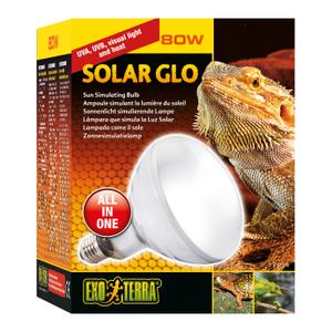 33-pt2334-ampoule-simulant-la-lumiere-exo-terra-solar-glo-blanc-80-w