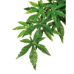 product/e/x/exo-terra_33-pt3042.jpg